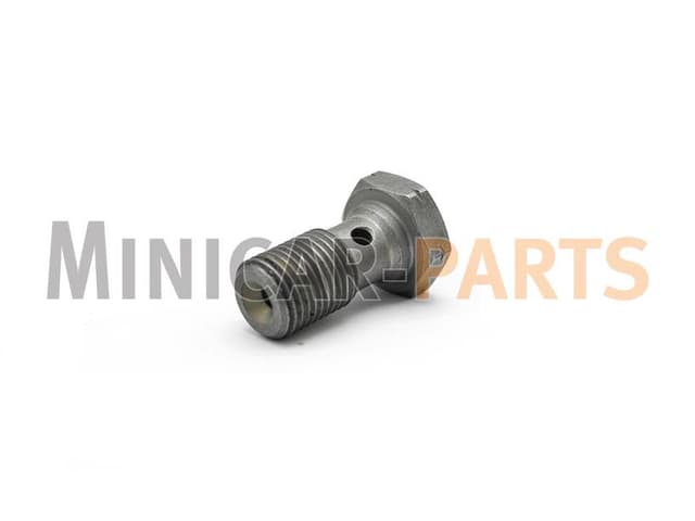 Durite de frein à boulon banjo (M10x100)